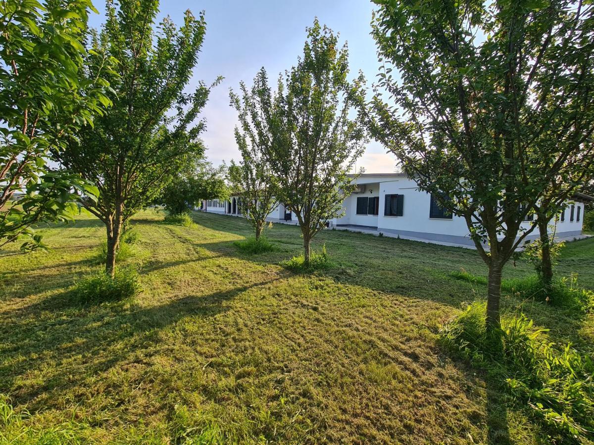 Agriturismo Ca Novak Venezia Villa Spinea Dış mekan fotoğraf