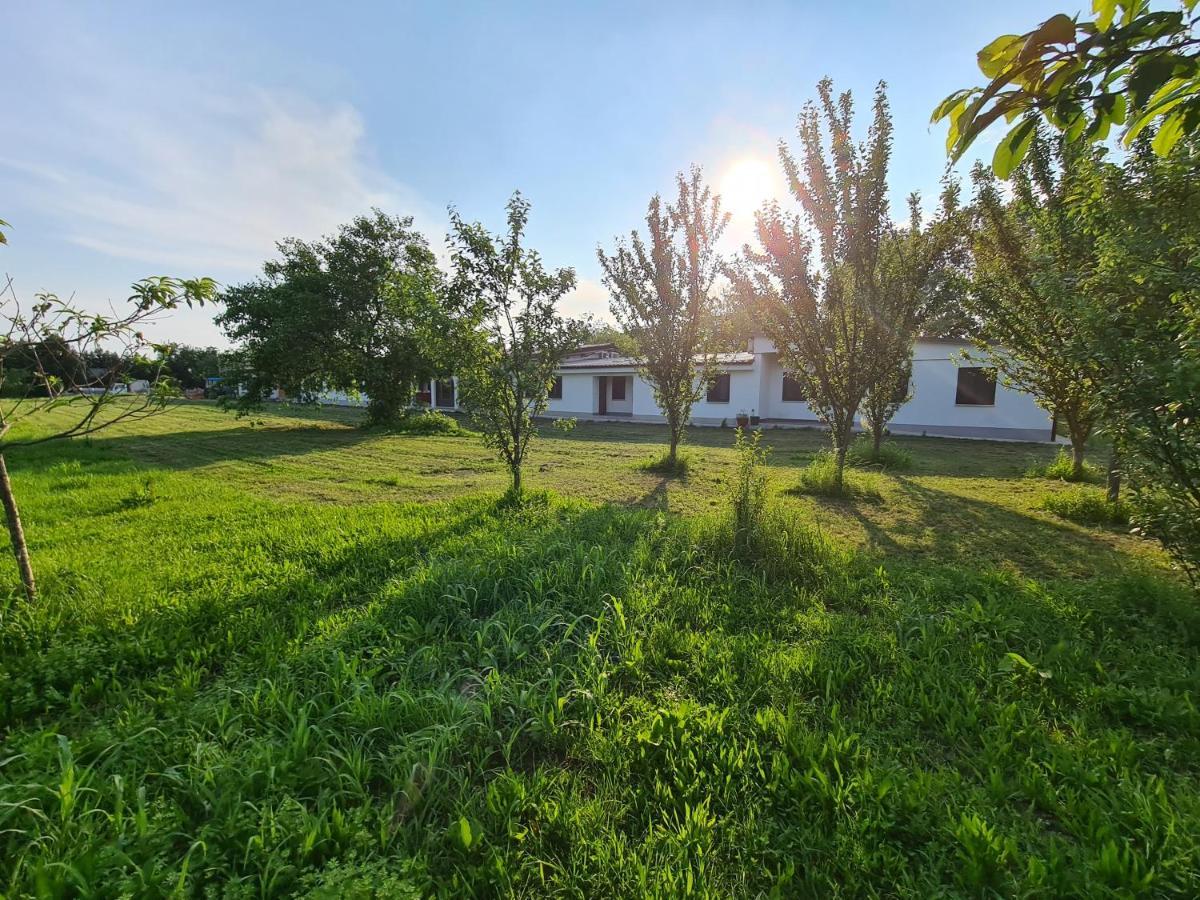 Agriturismo Ca Novak Venezia Villa Spinea Dış mekan fotoğraf